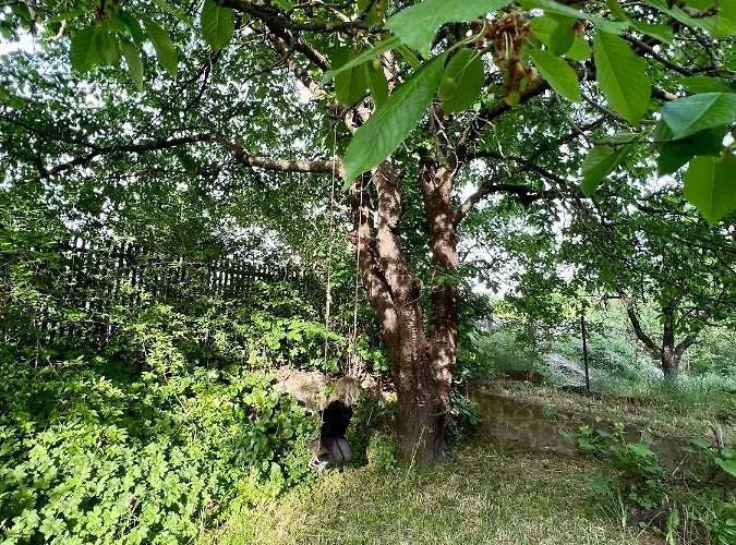 Haeuschen In Den Erlen * Eberswalde