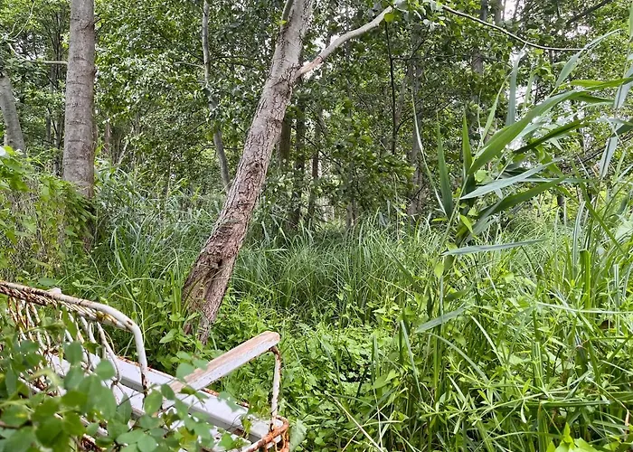 Haeuschen In Den Erlen Eberswalde